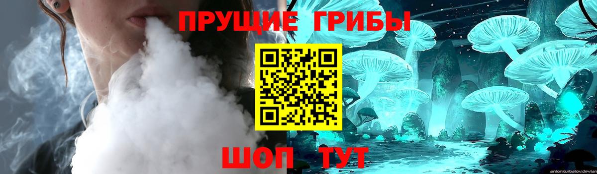 Выкса  Галлюциногенные грибы Cubensis  Вход с VPN 